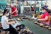 Vietnam ocupa más del 10  de la cuota de mercado mundial de exportación de calzado