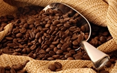 Mejorar la calidad del café es esencial para expandir las exportaciones a la UE