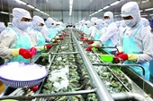 Las exportaciones de camarón superarán los 4000 millones de dólares este año
