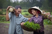 La igualdad de género, clave en la preservación de los valores familiares vietnamitas