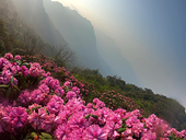 La belleza salvaje de la montaña Pu Ta Leng