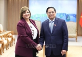Impulso a la cooperación multifacética con Egipto y Mongolia