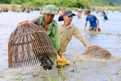 Miles de personas pescan para tener suerte en el festival de los pantanos del centro de Vietnam