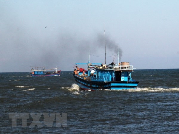 Pescadores vietnamitas dicen “No” a la pesca ilegal