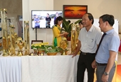 Esfuerzos para la creación de la marca nacional de ginseng vietnamita