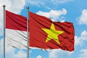 Empresas vietnamitas estudian oportunidades de negocios en Indonesia