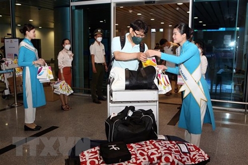 La aerolínea surcoreana de bandera vuelve a operar vuelos directos a Da Nang