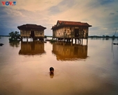 Exposición de un fotógrafo franco-vietnamita realza en el Festival de Hue