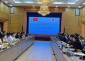 Vietnam y Japón revisan su iniciativa conjunta