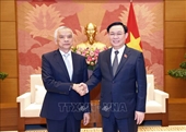Asamblea Nacional de Laos consulta experiencia de desarrollo de Vietnam
