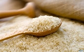 Estados Unidos aumenta las importaciones de arroz del mercado vietnamita en la primera mitad del año