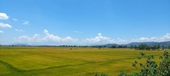 Krong No, el lugar en el que se cultiva arroz en suelo volcánico