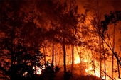 Mensajes de condolencias por las pérdidas causadas por los incendios forestales en Francia