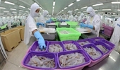 BM pronostica crecimiento económico de Vietnam del 7,5 en 2022