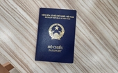 Alemania reconoce temporalmente la nueva versión del pasaporte de Vietnam