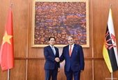 Cancilleres de Vietnam y Brunei copresiden segunda reunión de la Comisión Conjunta para la cooperación bilateral