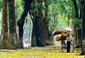 Hanói entre destinos más bellos del mundo en otoño boreal, según CNN Travel