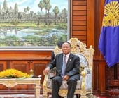 Parlamentos de Vietnam y Camboya afianzan la cooperación multifacética