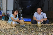 Disfrutar de los caracoles ahumados de Dong Thap