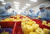 Prensa malasia ensalza la exportación de frutas de Vietnam