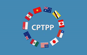 Miembros del CPTPP, mercado potencial para exportaciones de pescado Tra de Vietnam