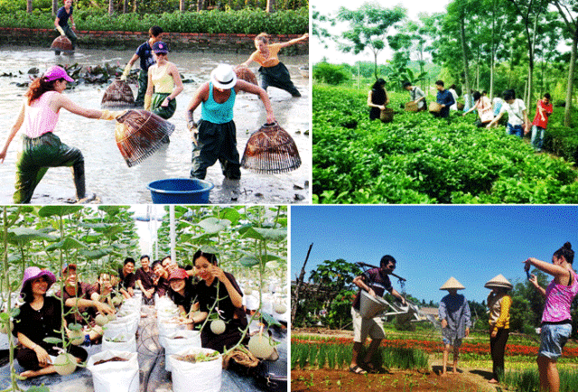 La agricultura de Vietnam acelera el desarrollo asociado al turismo