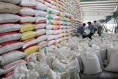 Las exportaciones de arroz de Vietnam superan el objetivo anual