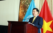 Viceprimer ministro destaca importancia de solidaridad internacional y cooperación en sesión de ONU