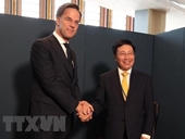 Vietnam fortalece cooperación bilateral con Países Bajos y países africanos