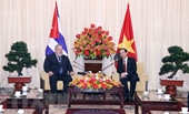 Fortalecimiento de la cooperación entre Ciudad Ho Chi Minh y Cuba