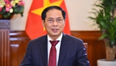 Vietnam participará junto a la comunidad internacional para construir un mundo de paz, afirma el canciller Bui Thanh Son