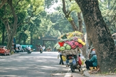 Vietnam figura entre los veinte mejores lugares para visitar en enero de 2023