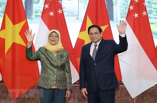 Galería de fotos en la recepción del primer ministro Pham Minh Chinh a la presidenta de la República de Singapur