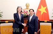 El PNUD siempre concede importancia a la cooperación con Vietnam