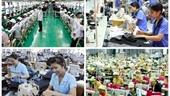 El mercado laboral de Vietnam se recupera de manera sostenible