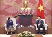 Fortalecimiento de las relaciones de amistad y cooperación entre la Asamblea Nacional de Vietnam y Laos