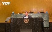 Vietnam pide reforma del Consejo de Seguridad de la ONU