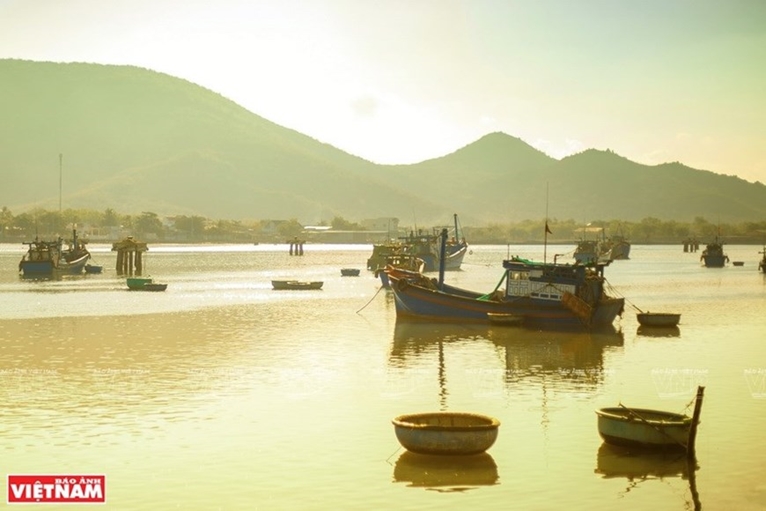 Vida en laguna vietnamita de Dam Nai