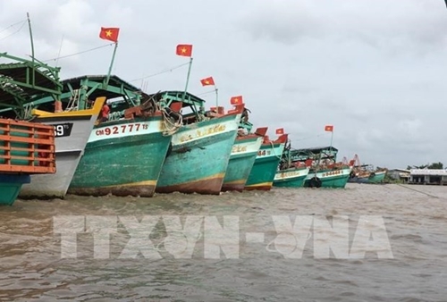 El trabajo de comunicación de Tien Giang sobre la pesca INDNR da sus frutos