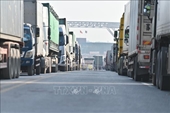 Casi 4000 toneladas de carga despachadas a través de la puerta fronteriza de Mong Cai