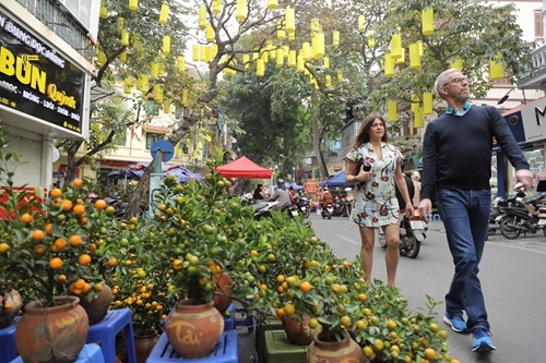 Inauguran mercado tradicional de flores del Tet en Hanói