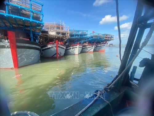 Pescadores de Quang Nam se comprometen a implementar regulaciones contra la pesca ilegal, no declarada y no reglamentada