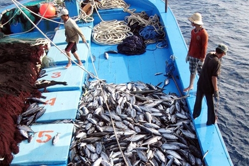 Vietnam fija como meta poner fin a la pesca ilegal en el extranjero en mayo