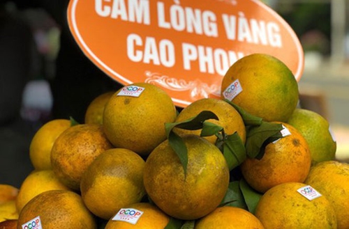 Naranjas Cao Phong llegan a estanterías de Reino Unido