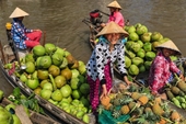 Revista Lonely Planet comparte sobre cómo explorar Vietnam