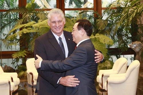 El presidente de la Asamblea Nacional Vuong Dinh Hue se entrevista con el presidente cubano