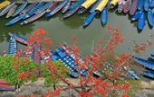 Belleza poética de la pagoda Huong en la floración de Bombax Ceiba