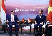 Vietnam e Indonesia abogan por mantener el ritmo de crecimiento del comercio bidireccional