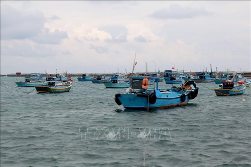 La provincia de Binh Thuan se moviliza para poner fin a la pesca ilegal