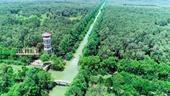Reserva natural en Delta del Mekong aprovecha el potencial del ecoturismo